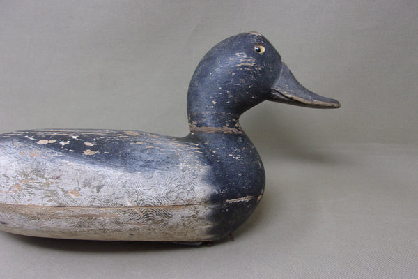 Elliston Blue Bill, Dry Original Paint, Circa 1890's (#4913)