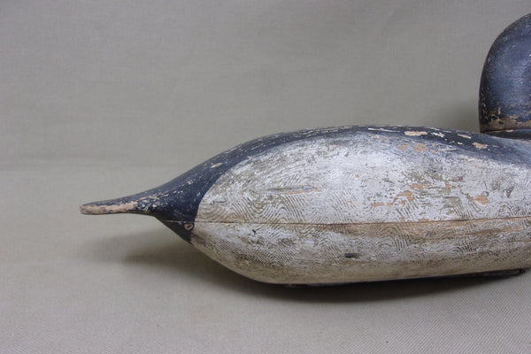 Elliston Blue Bill, Dry Original Paint, Circa 1890's (#4913)