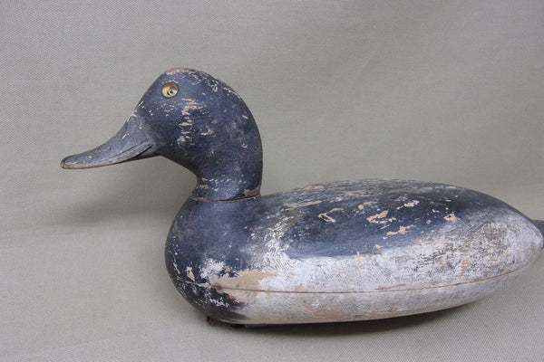 Elliston Blue Bill, Dry Original Paint, Circa 1890's (#4913)