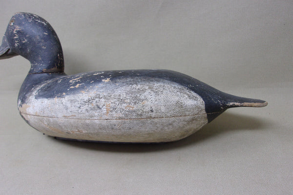 Elliston Blue Bill, Dry Original Paint, Circa 1890's (#4913)