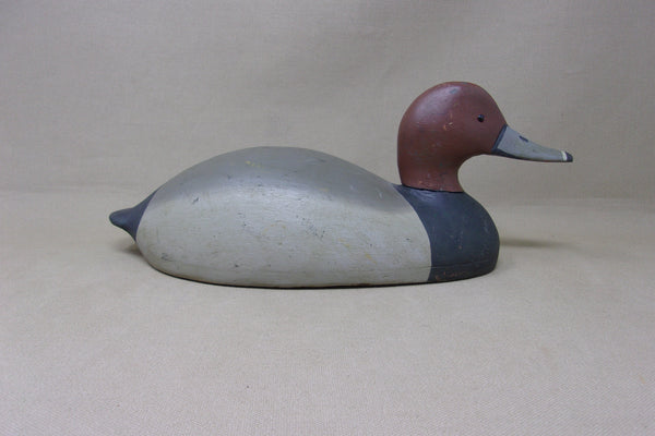 Redhead Drake, Francis Miskoknon, Circa 1920's (#4930)