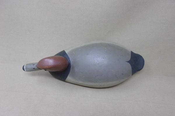 Redhead Drake, Francis Miskoknon, Circa 1920's (#4930)