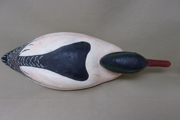Herters 1893 Series Common Merganser (#4943)