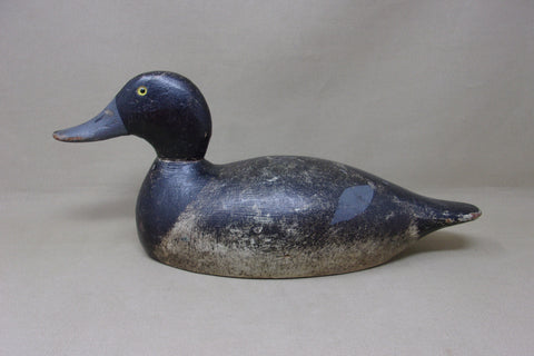 Evans Blue Bill Original Paint, Evans Stamp (#4954)