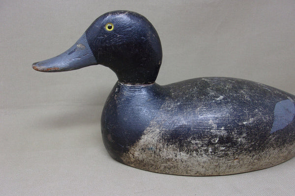 Evans Blue Bill Original Paint, Evans Stamp (#4954)