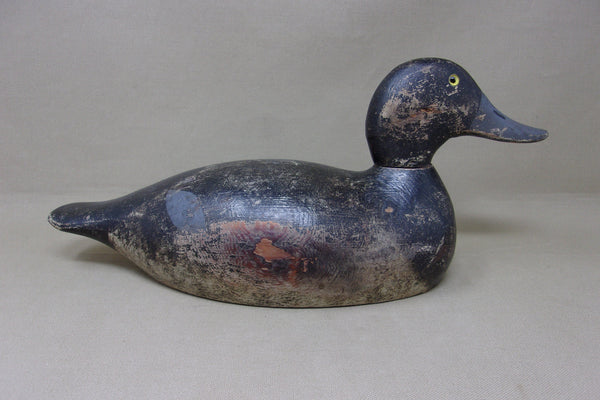 Evans Blue Bill Original Paint, Evans Stamp (#4954)