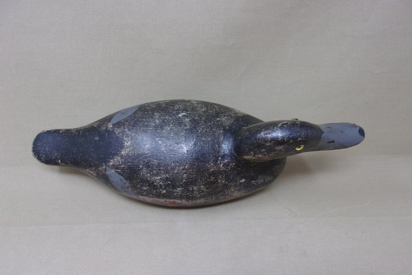 Evans Blue Bill Original Paint, Evans Stamp (#4954)