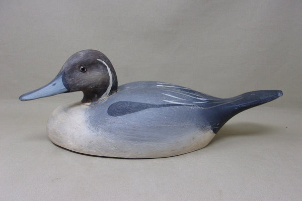 Pintail from the Dick McIntyre Collection (#4958)