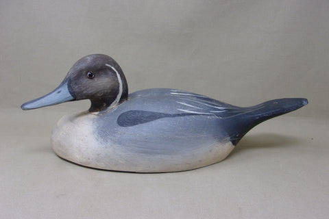 Pintail from the Dick McIntyre Collection (#4958)