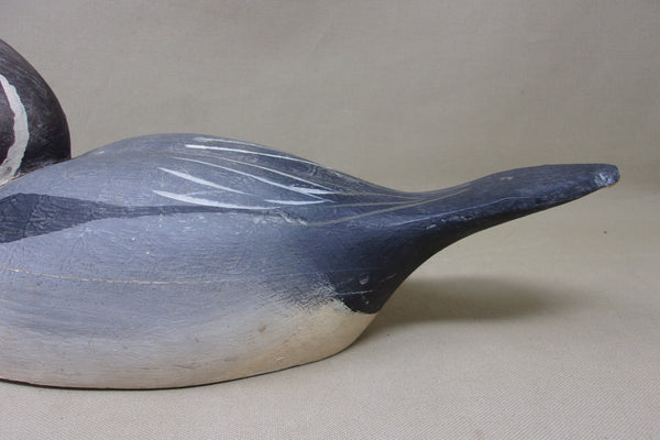 Pintail from the Dick McIntyre Collection (#4958)