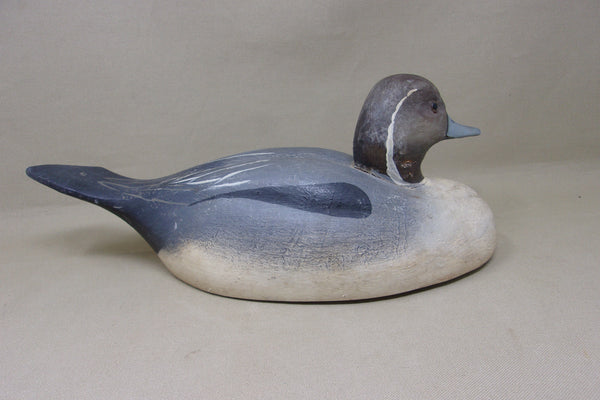 Pintail from the Dick McIntyre Collection (#4958)