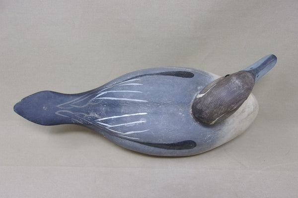 Pintail from the Dick McIntyre Collection (#4958)