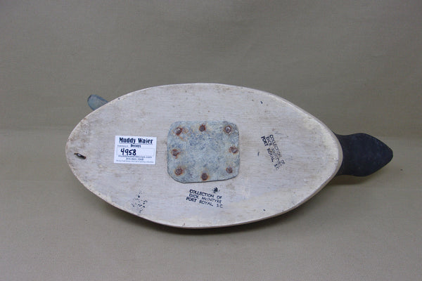 Pintail from the Dick McIntyre Collection (#4958)