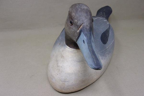 Pintail from the Dick McIntyre Collection (#4958)