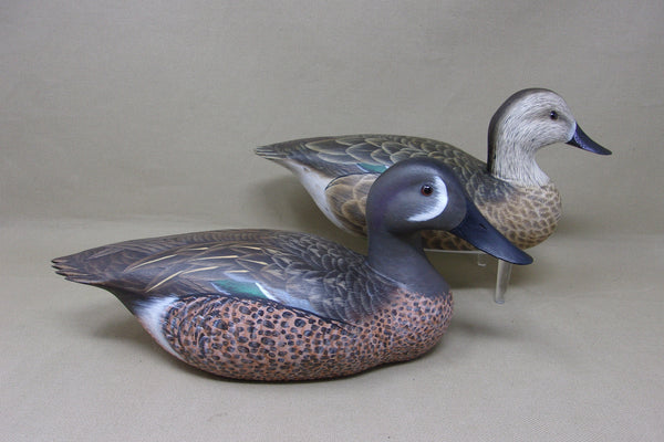 Ken Harris / Tom Ferguson Blue Wing Teal Pair (#4963)