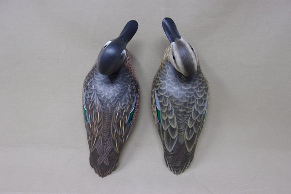 Ken Harris / Tom Ferguson Blue Wing Teal Pair (#4963)
