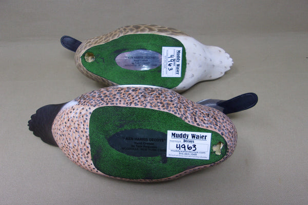 Ken Harris / Tom Ferguson Blue Wing Teal Pair (#4963)