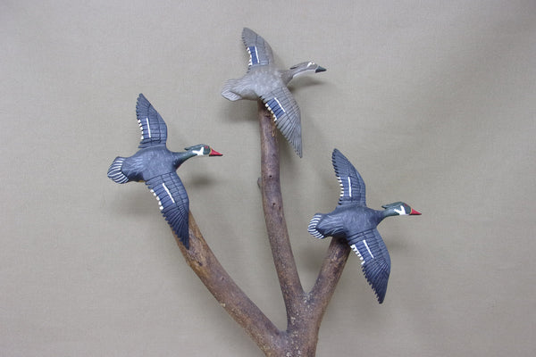 Mini Wood Duck Trio, Bill Ellena (#4969)