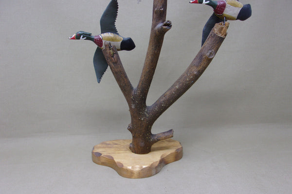 Mini Wood Duck Trio, Bill Ellena (#4969)