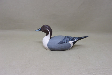 Ron Kennedy Pintail, Quarter Size (#4973)