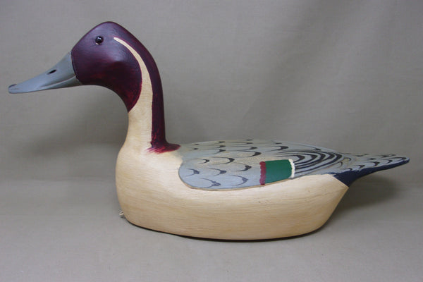 Jim Slack, Charles Walker Style Oversized Pintail Drake (#4993)