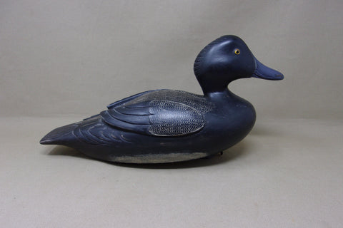 Canadian Blue Bill, Raised Wings, Scratch Paint (#4994)