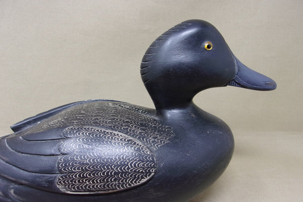 Canadian Blue Bill, Raised Wings, Scratch Paint (#4994)