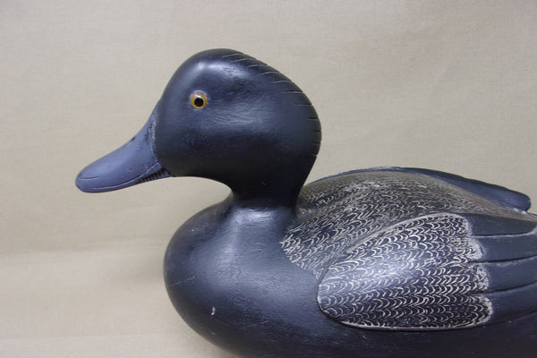 Canadian Blue Bill, Raised Wings, Scratch Paint (#4994)