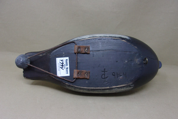 Canadian Blue Bill, Raised Wings, Scratch Paint (#4994)