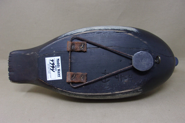 Canadian Blue Bill, Raised Wings, Scratch Paint (#4994)