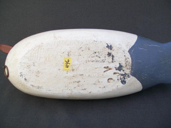 Dallas Valley Common Merganser