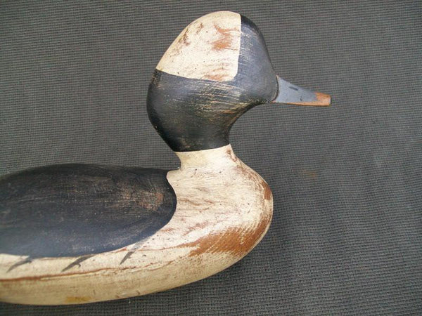 TJ Hooker Bufflehead