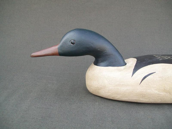 Charlie Moore Swimming Merganser