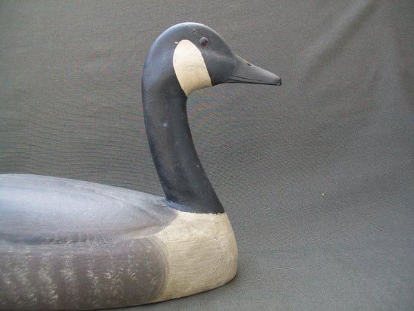 Michigan Canada Goose Ben Schmidt Influence