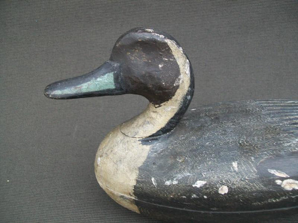 Illinois River Wilcoxen Pintail Drake with weight