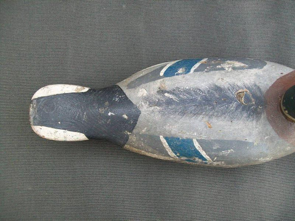 Illinois River Mallard Drake possibly early Mott