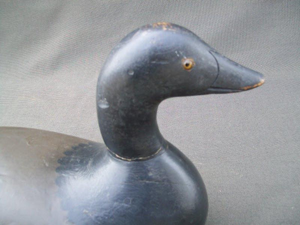 Mason Challenge Grade Brant