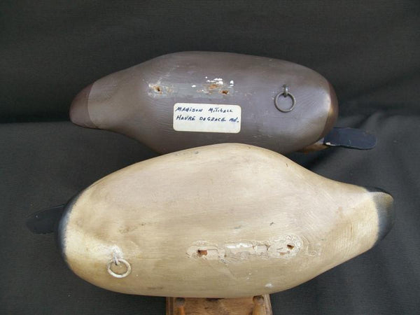 Madison Mitchell Canvasbacks