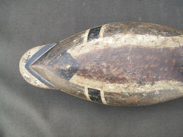 Leonard Doran Mallard Drake, Pekin Illinois