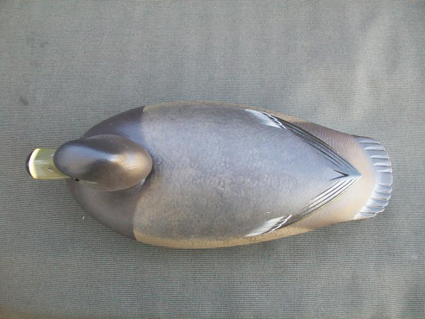 Ringneck Hen by Rick Brown