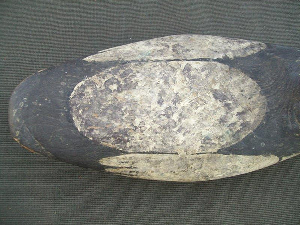 Vintage Tack eye Merganser