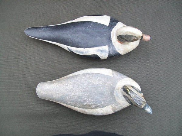 Great Bay Outlaws Duncan Szeliga Pair of Old Squaws  (#1929)