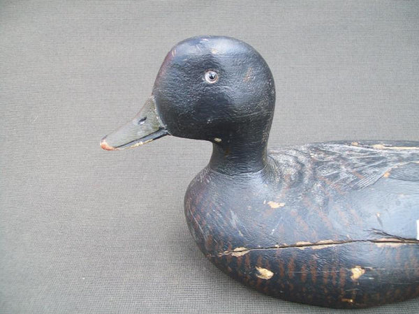George Guyon Black Duck, Quebec