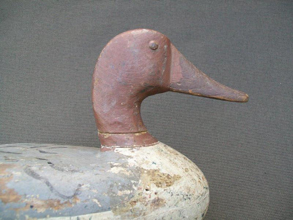 Richard Sheppard Pintail Drake Pekin Illinois