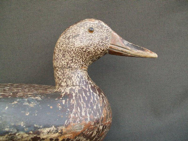 Henry Holmes Mallard Hen repainted by Julius Busto with weight
