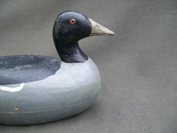 Charles Schoenheider, Sr. Coot Circa 1920's