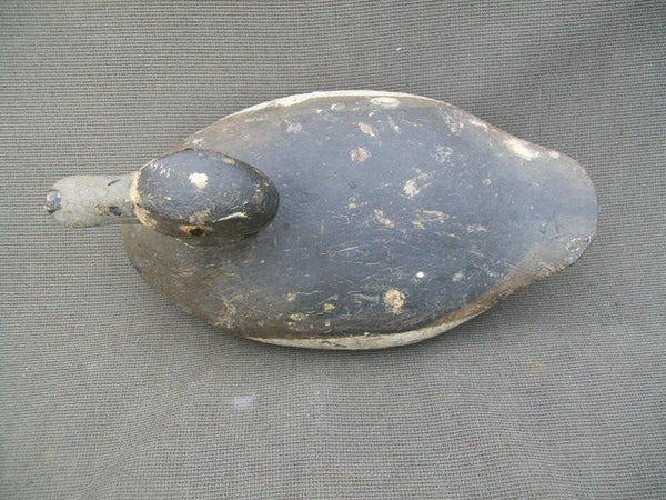 Otto Garren Blue Bill Hen