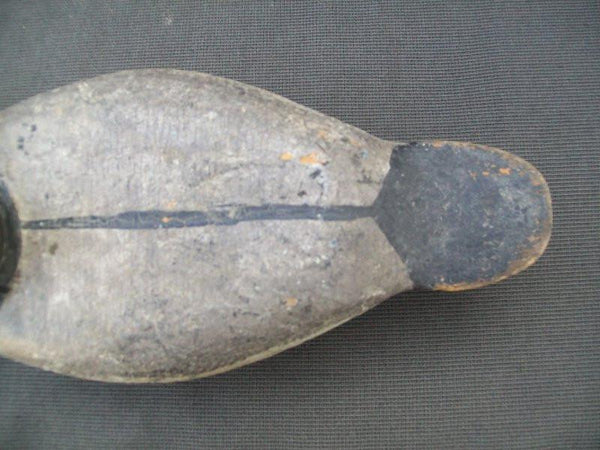 Illinois River Blue Bill with weight