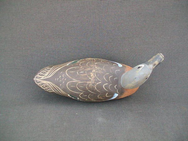 Kirkpatrick Blue Wing Teal, slightly turned head