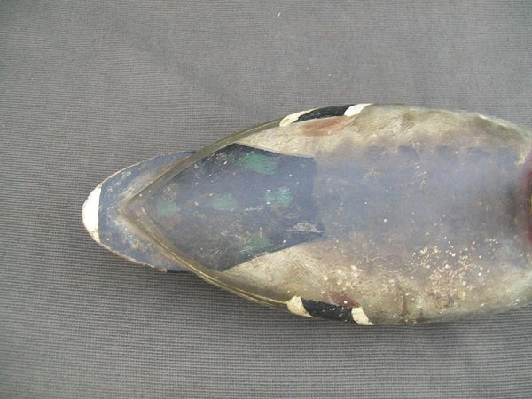 IIllinois River Mallard Lacon area